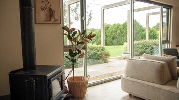 TV, fireplace, offices
