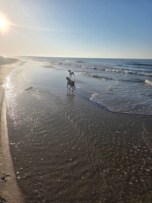 Playa