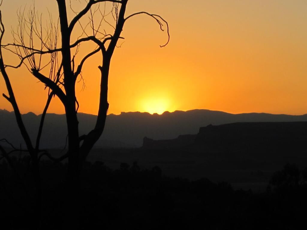 A silhouette of a tree against a sunset with distant hills.