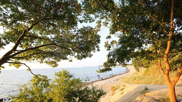 Een kustlandschap met bomen, een zandstrand en een rustige zee.