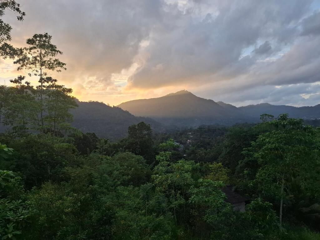 Standard Triple Room, Balcony, Mountain View | Miscellaneous