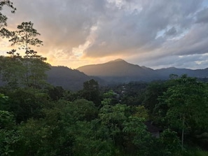Un paisaje montañoso con un bosque denso en primer plano y una cadena de colinas al fondo.