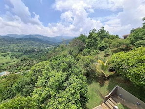 Un paisaje verde y exuberante con vistas a colinas distantes y un cielo despejado.