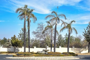 A landscaped area with palm trees, a fountain, and a paved walkway.