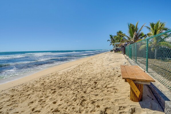 Una playa con un banco de madera, palmeras y una valla.