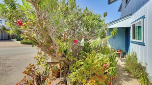 A garden with various plants and flowers, a pathway, and a building with a blue exterior.