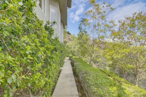 A pathway flanked by dense greenery and a building with a white facade.