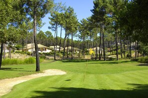 A golf course with a flagstick, surrounded by tall pine trees and residential buildings.