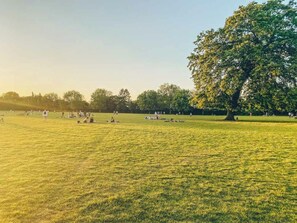 Ein Park mit weitläufigen Rasenflächen, Bäumen und Menschen.