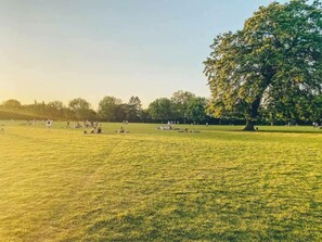 A park with open grassy areas and trees. - Bright 1BDR Flat between Forest Hill East Dulwich (Greater London)