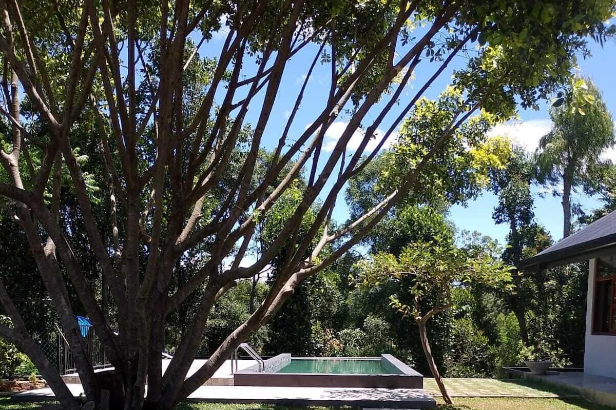 Standard Double Room, Garden View | Pool | Outdoor pool