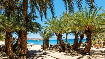 Studio, 1 Bedroom, Accessible, Smoking | Beach