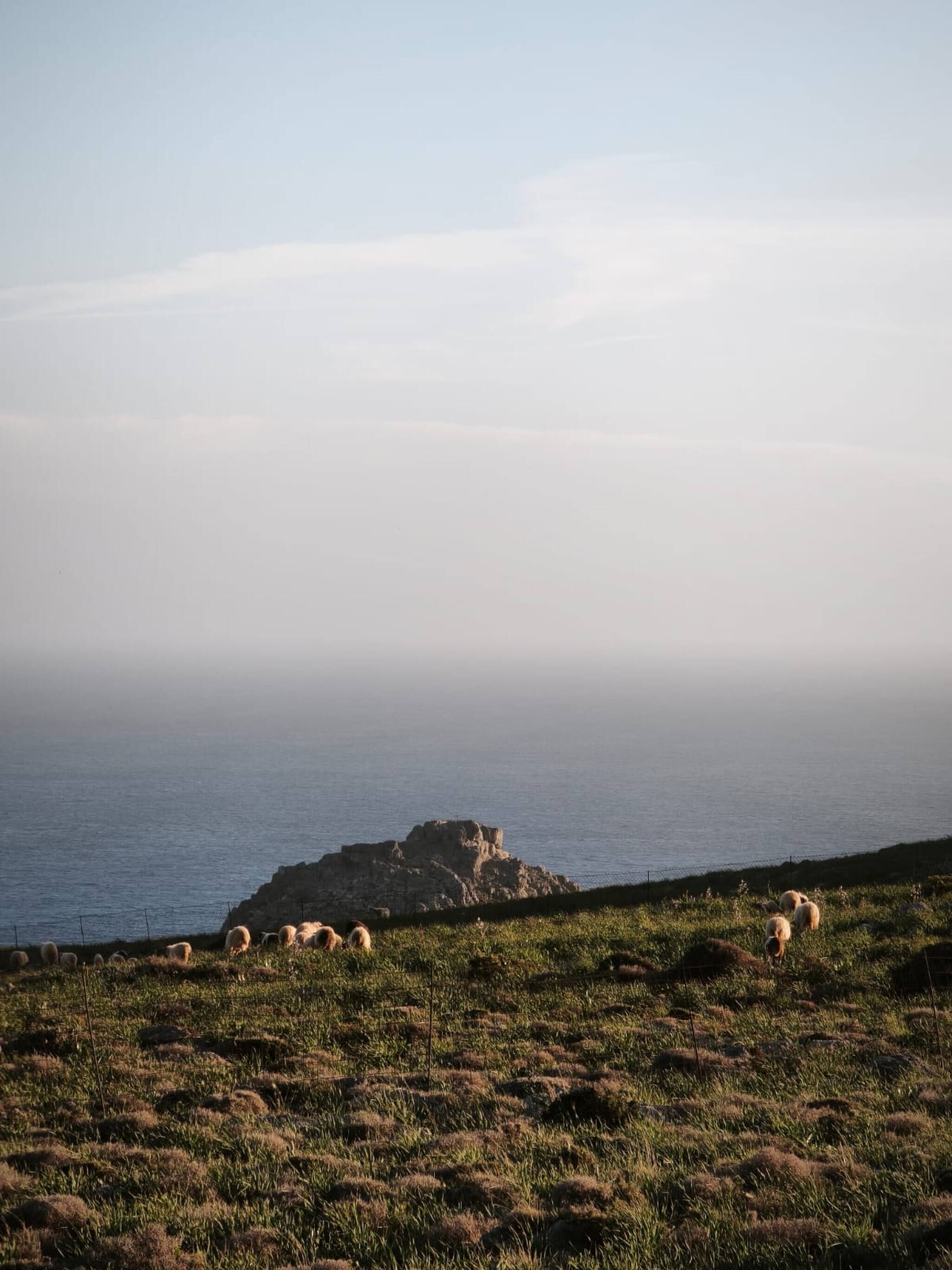 A coastal landscape with a rocky outcrop and grazing sheep.