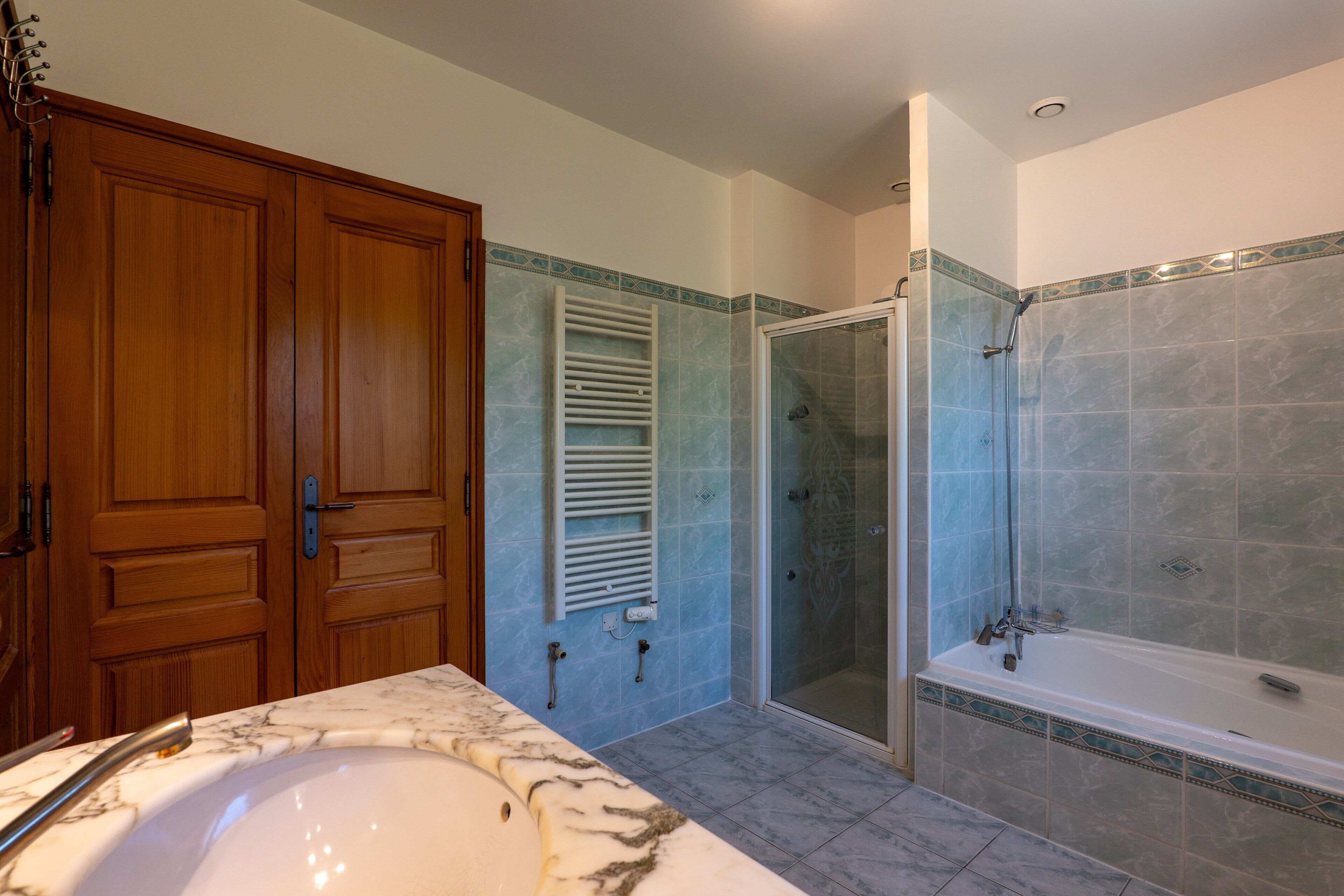 Shower, hair dryer, towels