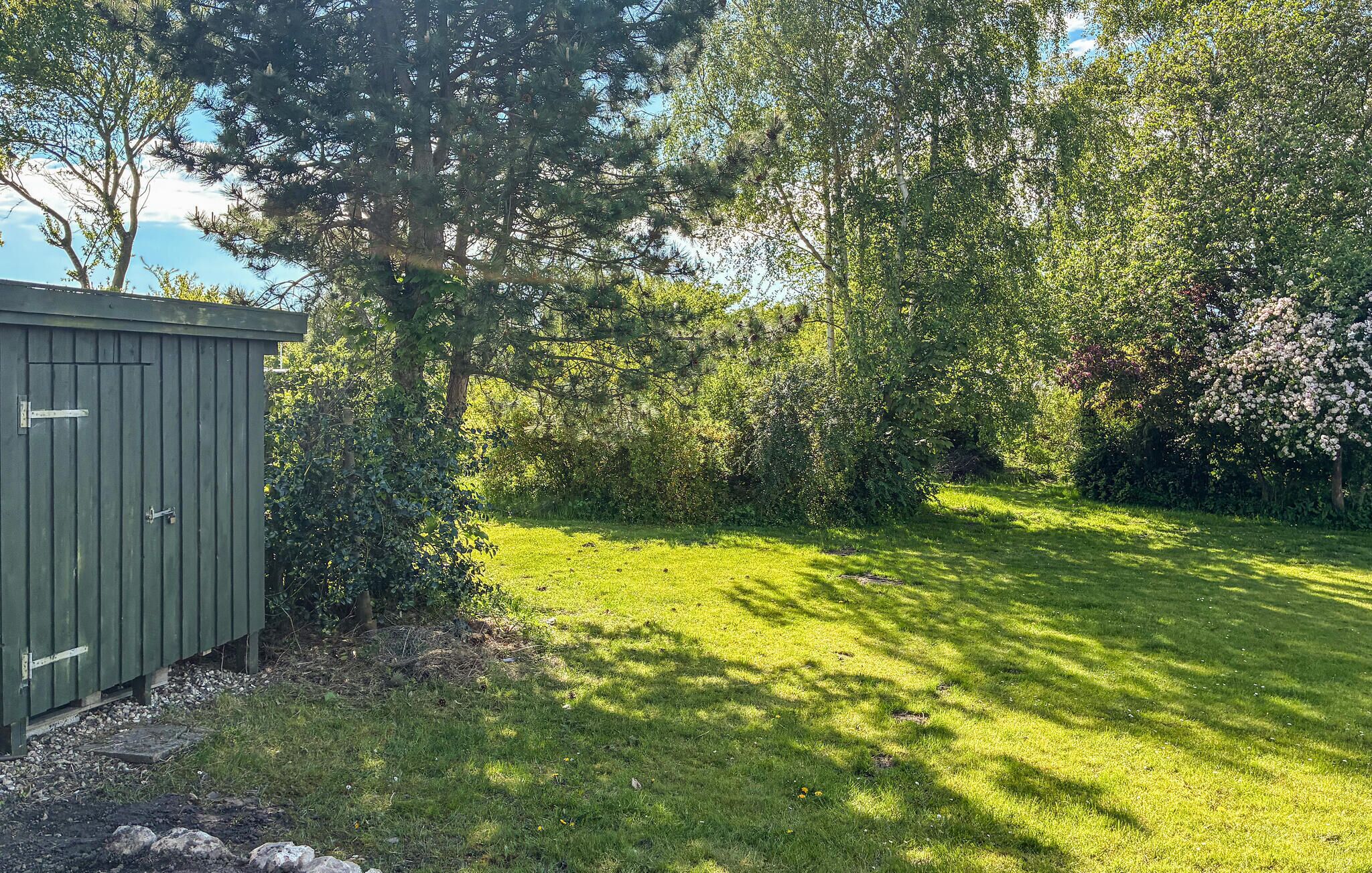 A green shed, a grassy lawn, and dense shrubbery.