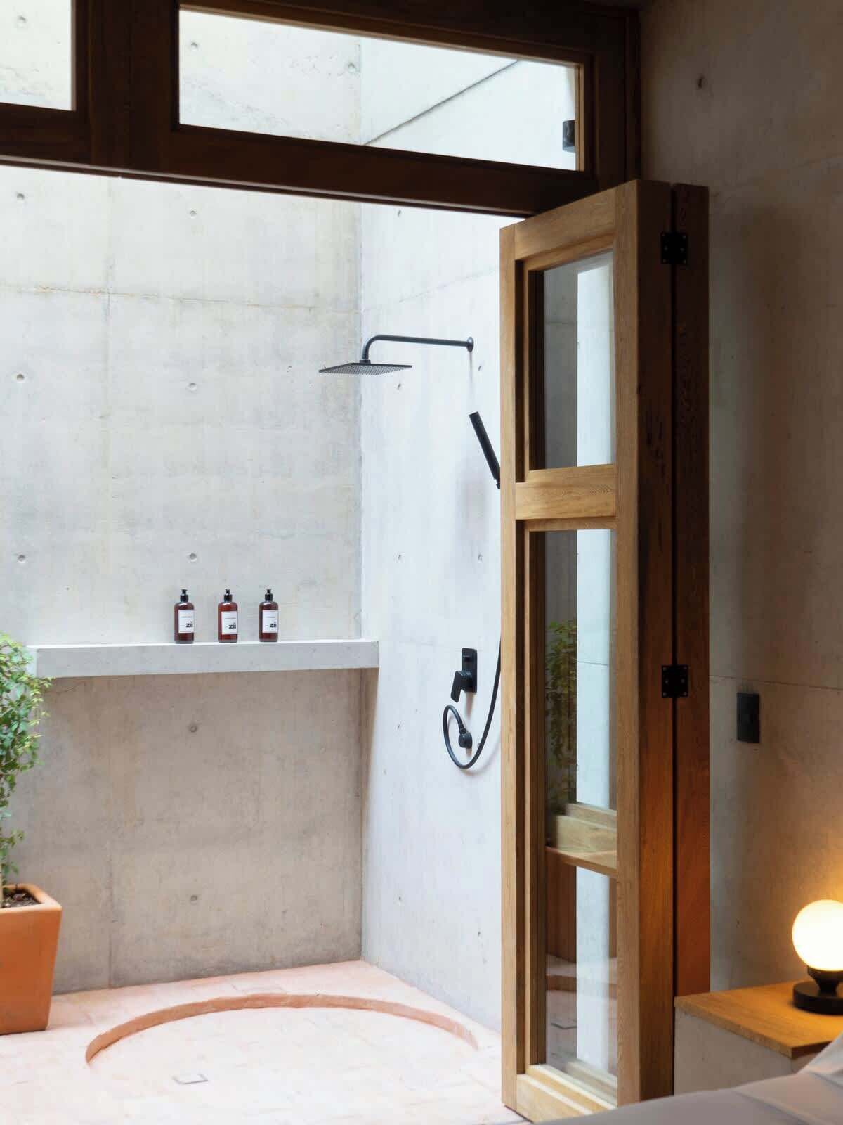 Une salle de bain moderne avec une douche, une porte en bois, une petite étagère avec des bouteilles et une plante en pot.