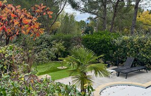 Ein Garten mit Schwimmbecken, einer Bank und verschiedenen Pflanzen.