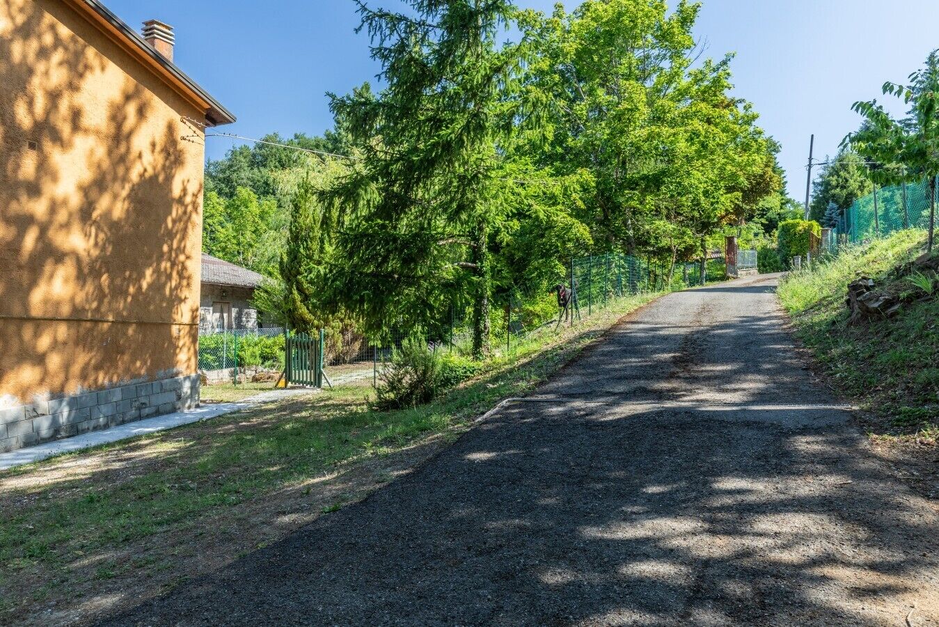 A rural road with a house on the left, surrounded by trees and greenery.