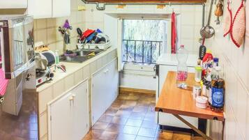 Apartment, Patio, Garden View | Private kitchen