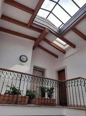Ein Balkon mit schmiedeeisernem Geländer, Topfpflanzen und einem Oberlicht.