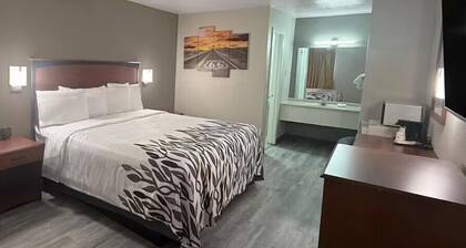 Red Roof Inn Shamrock