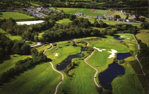 Golf - Apartment Sleeps 4 With Parking (Cardiff)