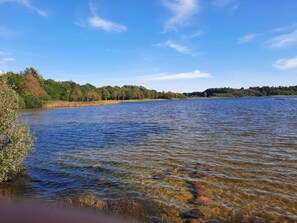 A calm lake with clear water, surrounded by trees and a clear sky. - 5 Star Holiday Home in Ansager (Ansager)