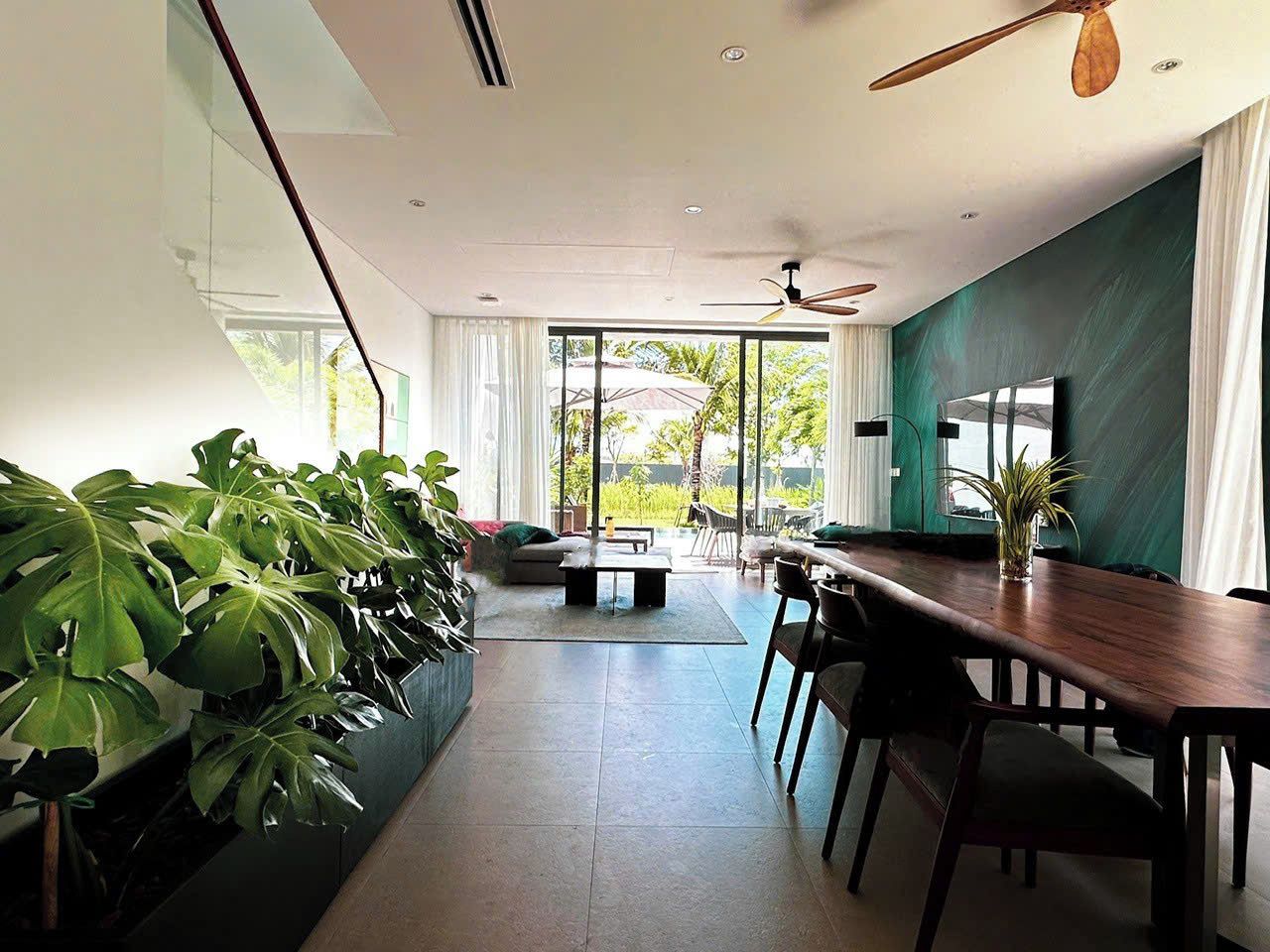 A modern interior with a dining area, large windows, and indoor plants.