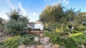 Um jardim com uma escadaria de pedra que leva a uma casa.