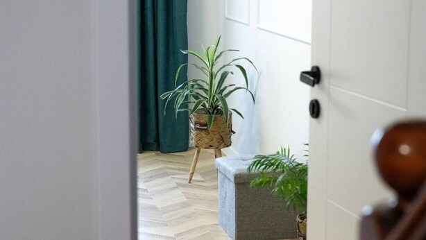 A room with a herringbone floor, a potted plant on a stand, a grey bench, and a door with a round handle.