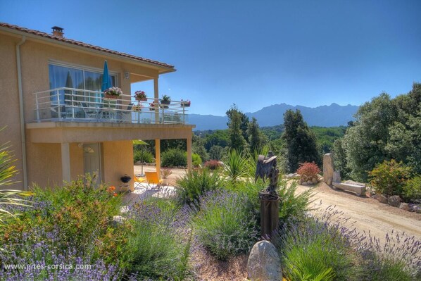 Exterior - Vrbo Property (LEVIE)