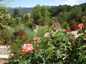 Property grounds - Vrbo Property (LEVIE)