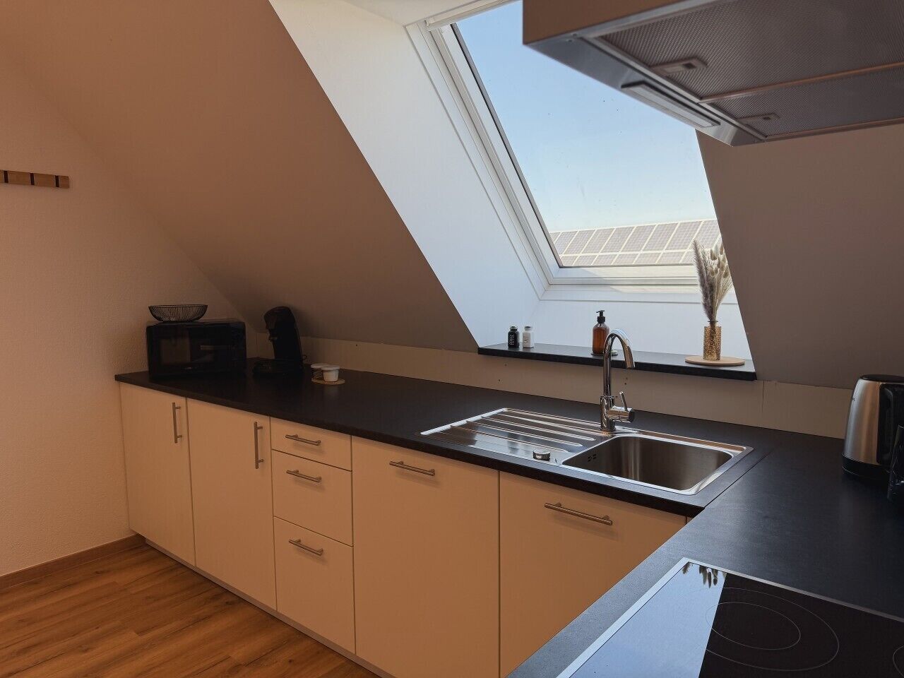 Kühlschrank, Mikrowelle, Herdplatte, Geschirrspüler