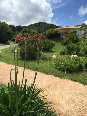A garden with a dirt path, green plants, and a building with a tiled roof in the background. - Residence San Micheli 2 (SERRA DI FIUMORBU)