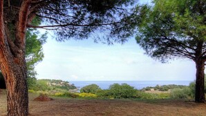 A coastal landscape with trees and a view of the sea. - Vignola - CORBARA - Gîte (CORBARA)