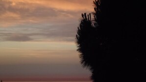 A coastal sunset view with silhouettes of trees and a distant shoreline. - Vignola - CORBARA - Gîte (CORBARA)