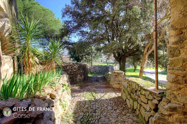 Property grounds - Vrbo Property (CORBARA)