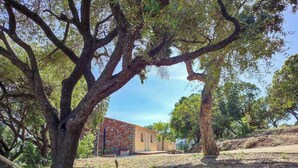 Un edificio de fachada de piedra, rodeado de árboles grandes.