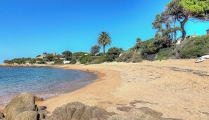 A beach with clear water, sandy shore, and some vegetation. - Isolella - PIETROSELLA (PIETROSELLA)