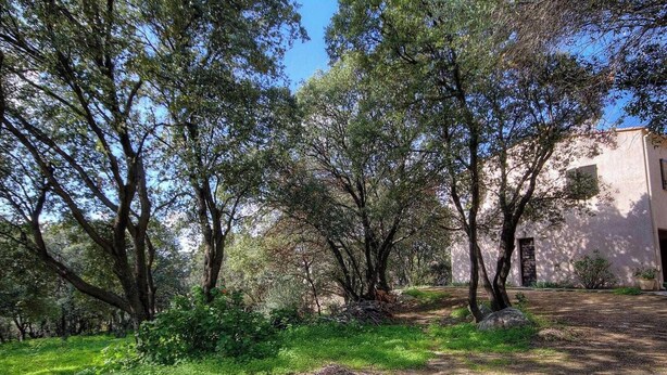 Un bâtiment doté d’un espace jardin, entouré d’arbres.