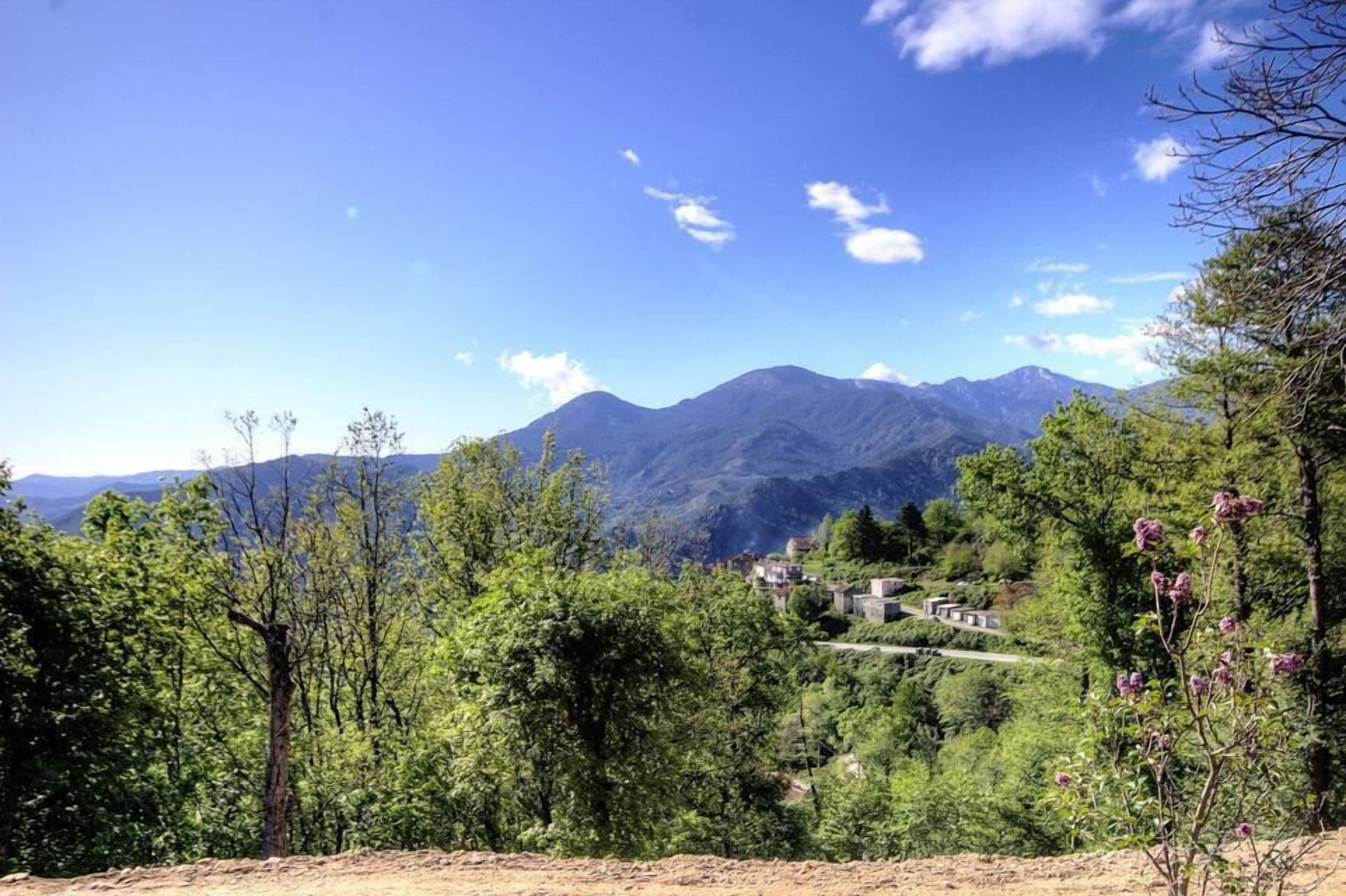 Eine gebirgige Landschaft, in der ein Dorf zwischen Bäumen liegt.