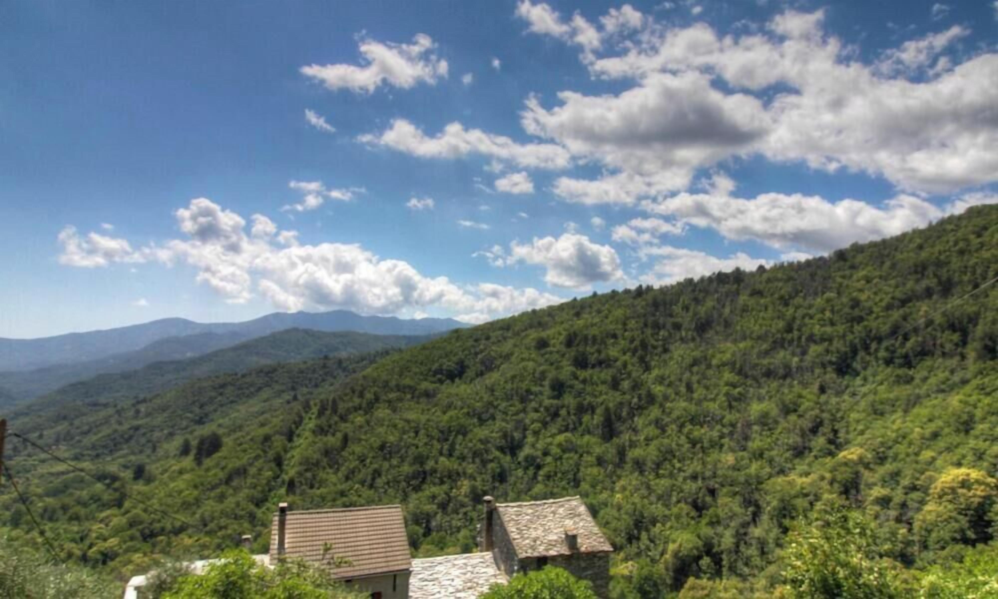 A mountainous landscape with a small building with a sloped roof, surrounded by dense green forest.