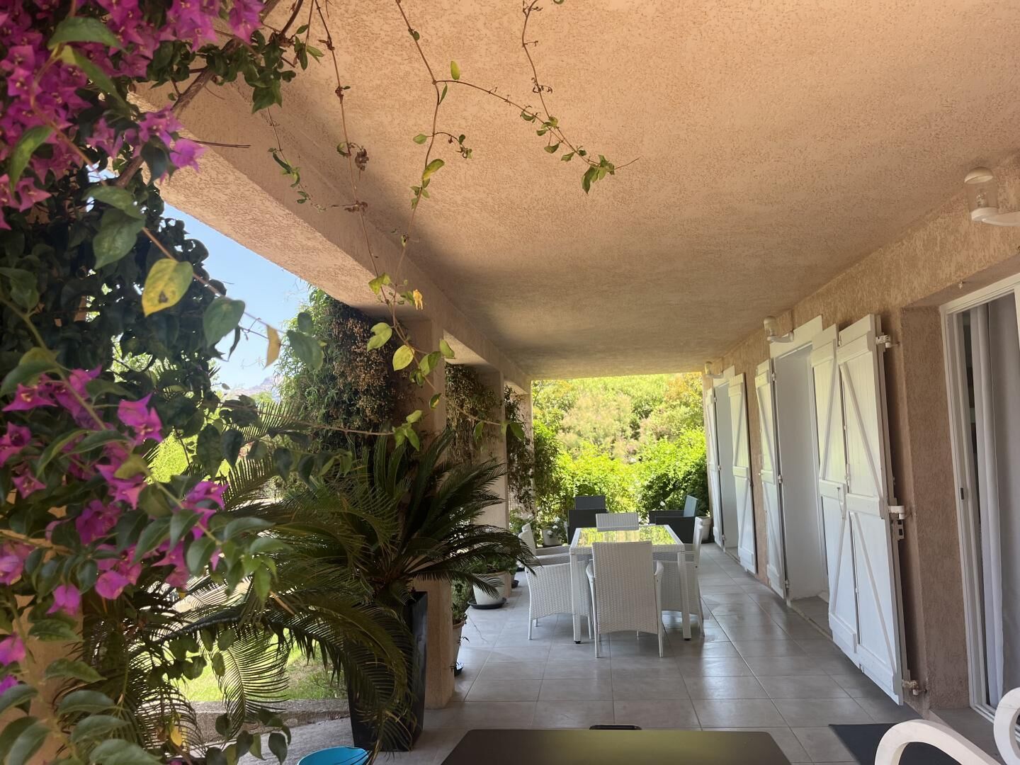 Une terrasse extérieure couverte, dotée d’une table et de chaises, entourée de plantes en pot et offrant une vue sur la verdure.