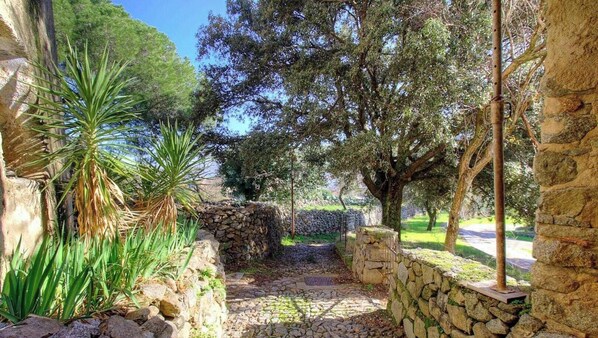 Ein gepflasterter Weg schlängelt sich durch einen Garten mit Bäumen und einer Steinmauer.