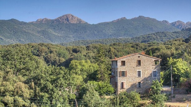 Un edificio de piedra con techo rojo, rodeado de un bosque verde frondoso y montañas al fondo.