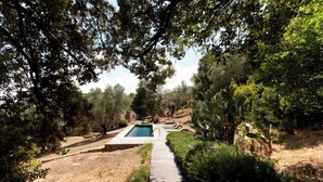 Ein Poolbereich mit einer Holzterrasse, umgeben von Bäumen und trockenem Gras.