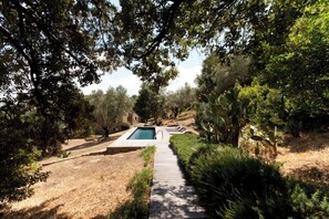 Property grounds - Vaddonu - FIGARI - Gîte (FIGARI)