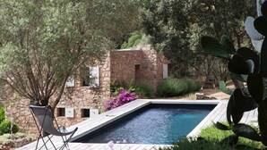 Ein Swimmingpool mit Steinmauer, Stuhl und umliegender Bepflanzung.