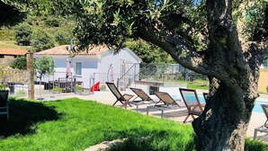 Un espace aménagé au bord de la piscine avec des chaises longues, un bâtiment blanc doté d’un toit en tuiles et un arbre au premier plan.