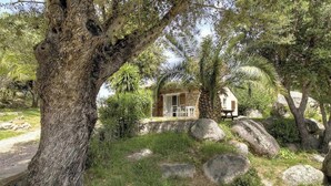 Un chalet rustique aux murs de pierre, entouré de gros rochers et d’une végétation luxuriante.